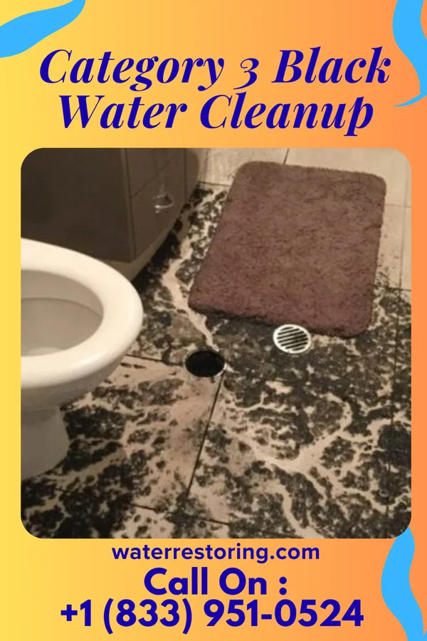 Category 3 Black Water Cleanup in Shelby, MI