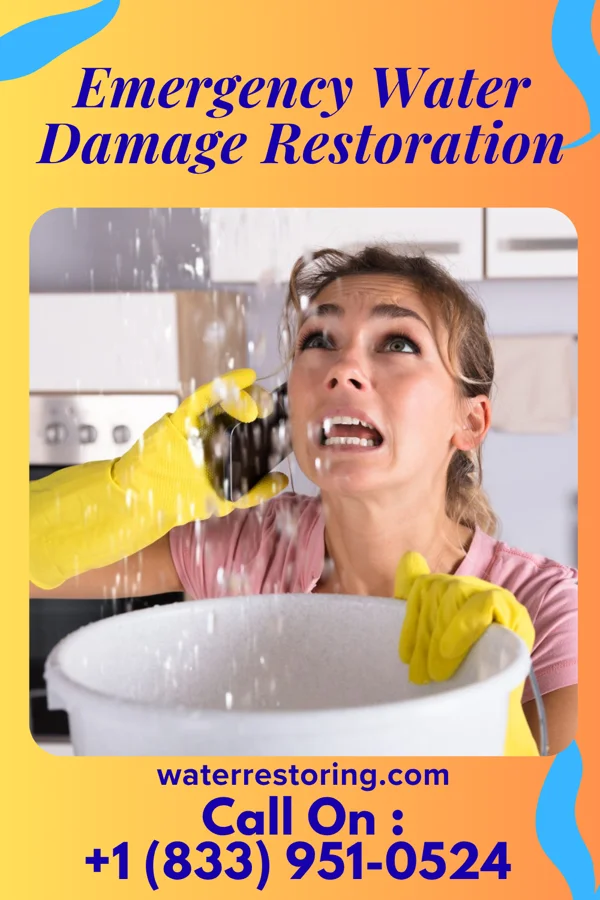 Emergency Water Damage Restoration in Shelby, MI