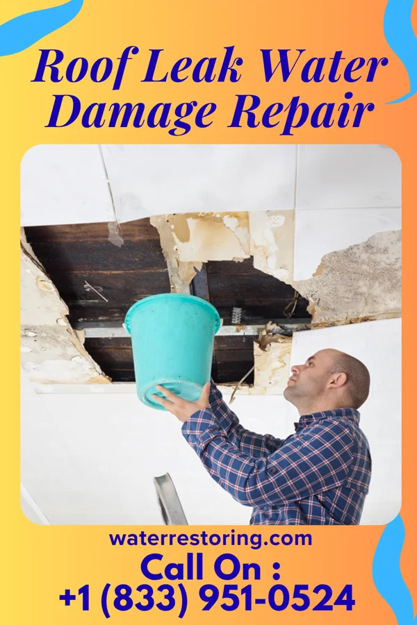 Roof Leak Water Damage Repair in Shelby, MI